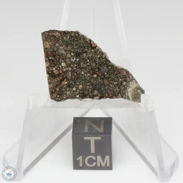 Nagjir 001 CV3 Meteorite 1.4g