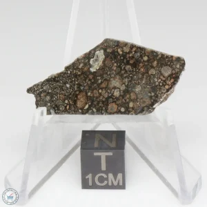 Nagjir 001 CV3 Meteorite 2.1g
