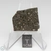 Nagjir 001 CV3 Meteorite 2.8g