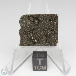 Nagjir 001 CV3 Meteorite 2.9g