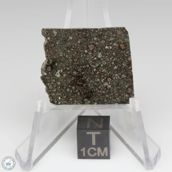 Nagjir 001 CV3 Meteorite 3.2g
