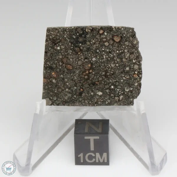 Nagjir 001 CV3 Meteorite 3.2g