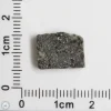 Plateau du Tademait 008 Martian Meteorite 1.01g