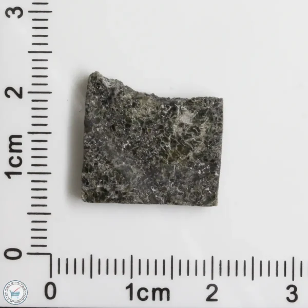 Plateau du Tademait 008 Martian Meteorite 1.85g