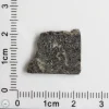 Plateau du Tademait 008 Martian Meteorite 1.86g