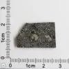 Plateau du Tademait 008 Martian Meteorite 2.50g