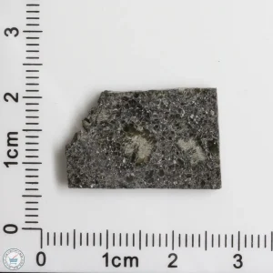 Plateau du Tademait 008 Martian Meteorite 2.50g