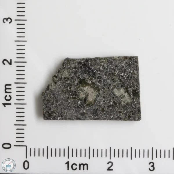 Plateau du Tademait 008 Martian Meteorite 2.50g
