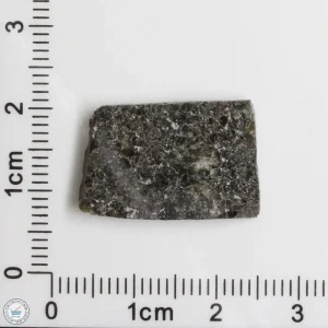 Plateau du Tademait 008 Martian Meteorite 2.25g