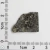 Plateau du Tademait 008 Martian Meteorite 1.84g