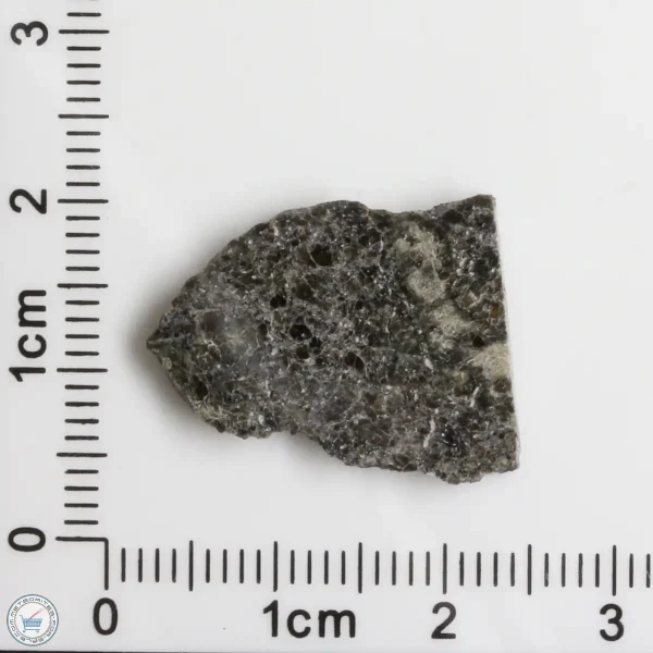 Plateau du Tademait 008 Martian Meteorite 2.17g