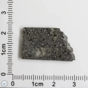 Plateau du Tademait 008 Martian Meteorite 2.75g