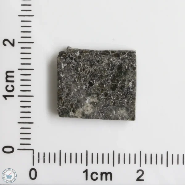 Plateau du Tademait 008 Martian Meteorite 1.49g