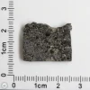 Plateau du Tademait 008 Martian Meteorite 2.71g