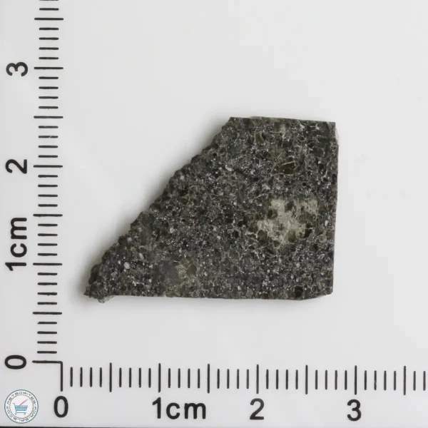 Plateau du Tademait 008 Martian Meteorite 2.70g