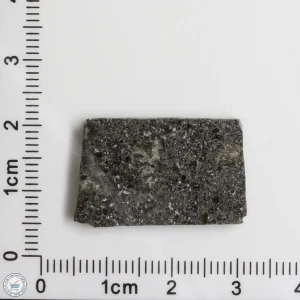 Plateau du Tademait 008 Martian Meteorite 3.19g