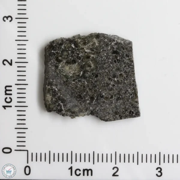 Plateau du Tademait 008 Martian Meteorite 2.85g