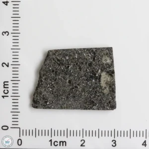 Plateau du Tademait 008 Martian Meteorite 3.54g