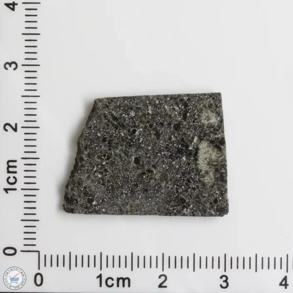 Plateau du Tademait 008 Martian Meteorite 3.54g