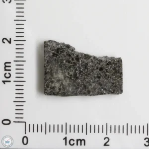 Plateau du Tademait 008 Martian Meteorite 1.65g