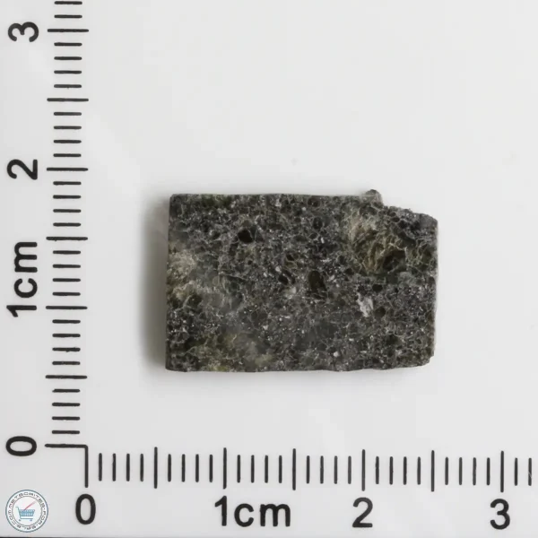 Plateau du Tademait 008 Martian Meteorite 1.95g