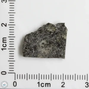 Plateau du Tademait 008 Martian Meteorite 1.68g