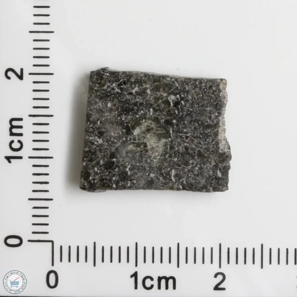 Plateau du Tademait 008 Martian Meteorite 1.78g