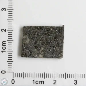 Plateau du Tademait 008 Martian Meteorite 2.44g