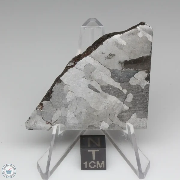 Soledade Iron Meteorite 41.5g