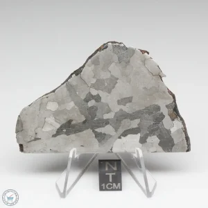 Soledade Iron Meteorite 71.6g