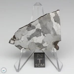 Soledade Iron Meteorite 20.4g