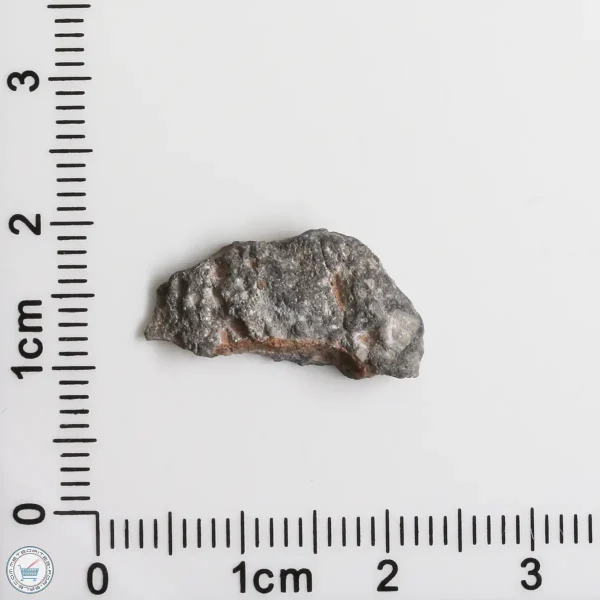 NWA 11474 Lunar Meteorite 1.13g End Cut