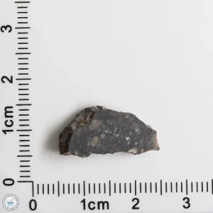 NWA 11474 Lunar Meteorite 1.13g End Cut