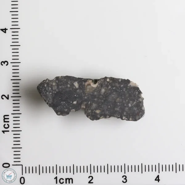 NWA 11474 Lunar Meteorite 3.02g End Cut