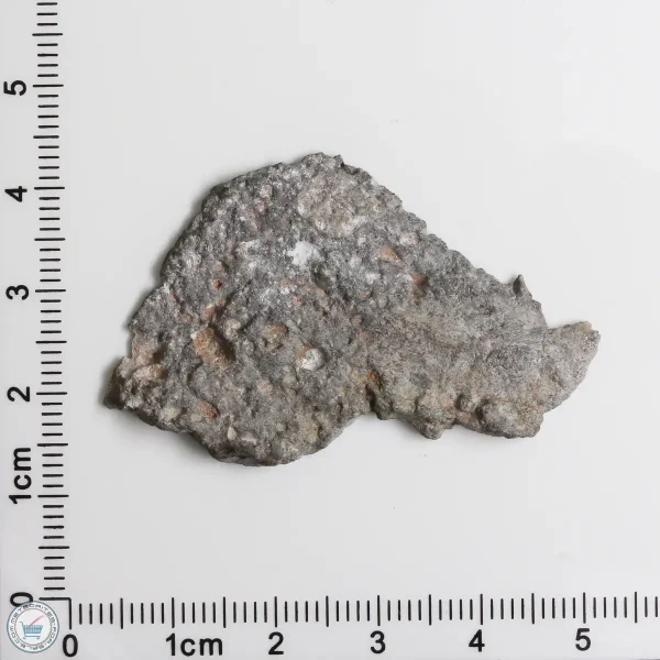 NWA 11474 Lunar Meteorite 5.15g End Cut