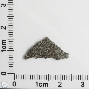 NWA 12269 (Paired) Martian Meteorite 0.46g