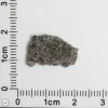 NWA 12269 (Paired) Martian Meteorite 0.62g