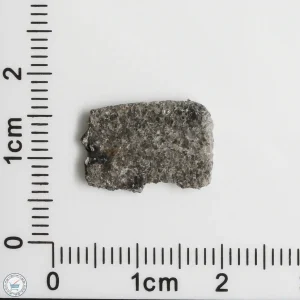 NWA 12269 (Paired) Martian Meteorite 0.67g