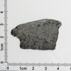 NWA 12269 (Paired) Martian Meteorite 2.82g