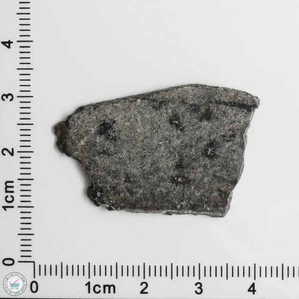 NWA 12269 (Paired) Martian Meteorite 3.68g