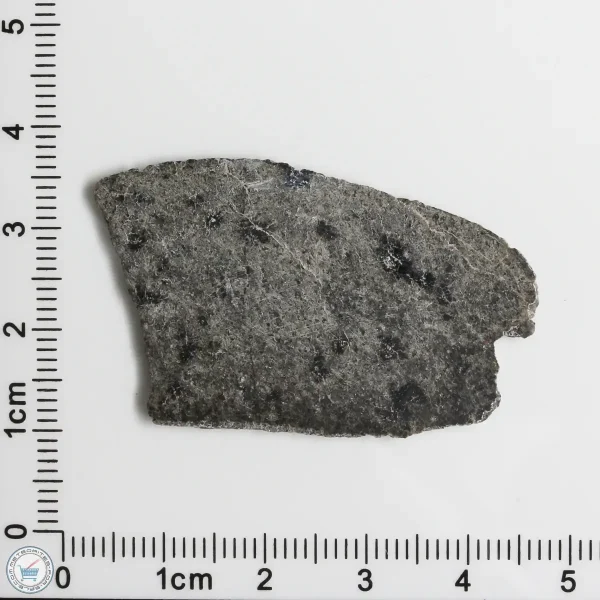 NWA 12269 (Paired) Martian Meteorite 3.81g