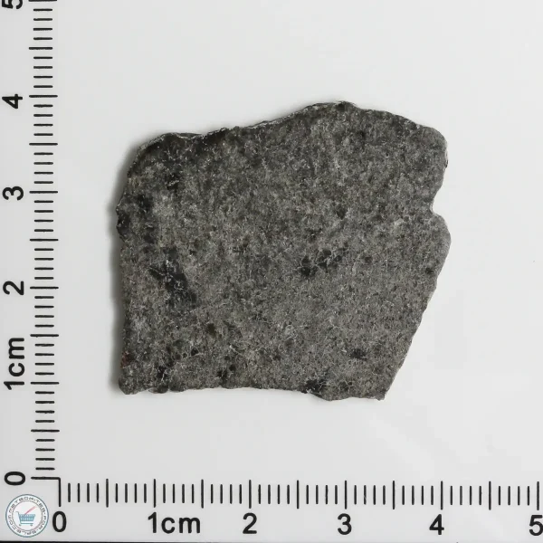 NWA 12269 (Paired) Martian Meteorite 3.36g