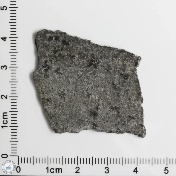 NWA 12269 (Paired) Martian Meteorite 4.69g