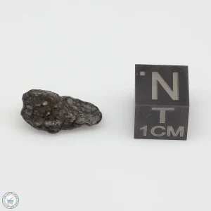 NWA 14353 CVred3 Meteorite 0.9g