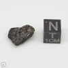NWA 14353 CVred3 Meteorite 1.6g