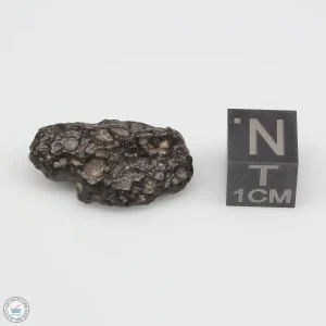 NWA 14353 CVred3 Meteorite 2.8g