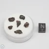 NWA 4502 Meteorite 1.8g