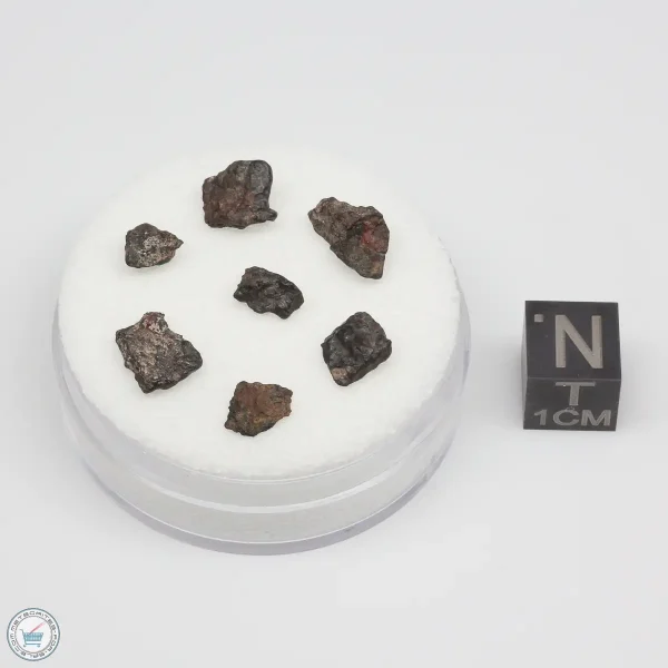 NWA 4502 Meteorite 1.6g