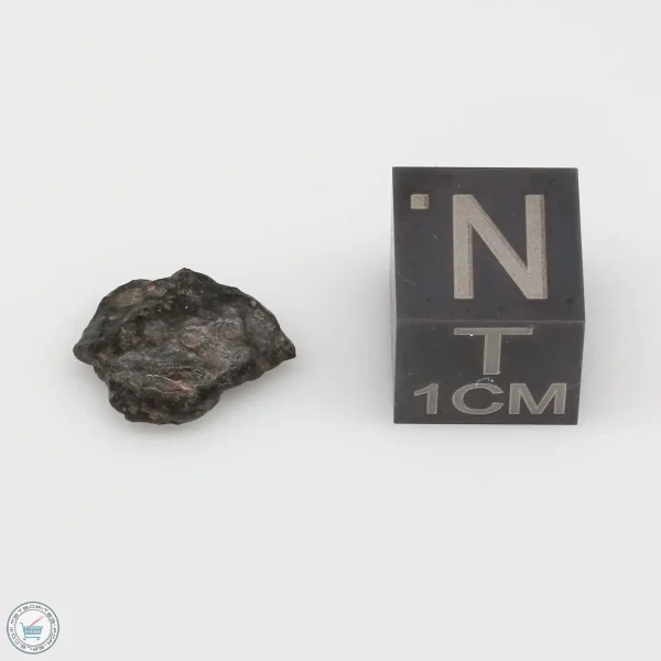 NWA 4502 Meteorite 0.5g