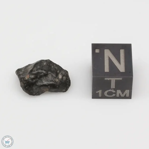 NWA 4502 Meteorite 1.0g